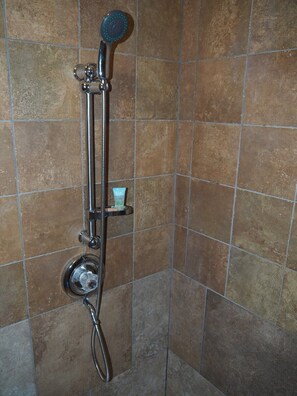 BATHROOM:  Features a shower and a toilet.  (Note that there is no vanity, sink, or mirror in the bathroom.)