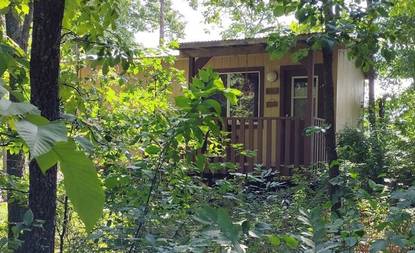 EXTERIOR:  The front of the cabin in summer.  (Note the "hillbilly chic" styling. ;-)