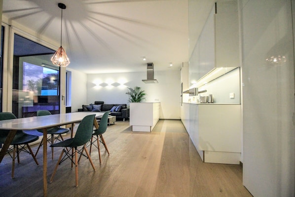 Living room and chef kitchen of the apartment.