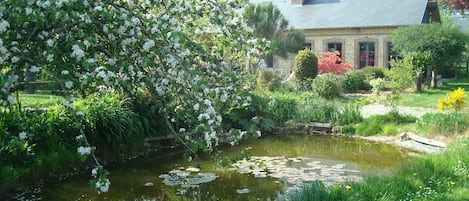 Jardines del alojamiento