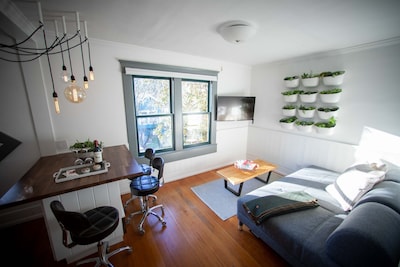 THE GREENLAKE LOFT - center of seattle