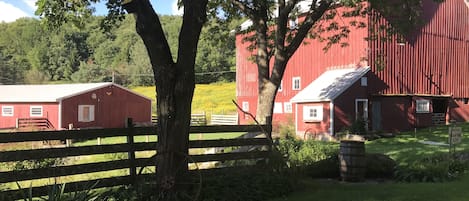 Overnattingsstedets uteområder