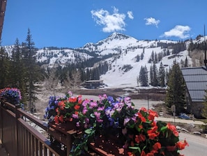 Vue depuis l’hébergement