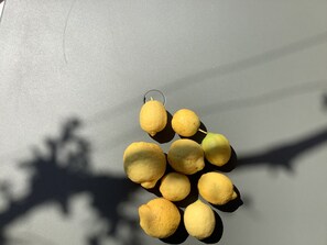 Miscellaneous
