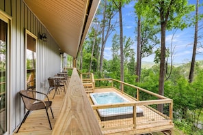 14 Ft swim spa/pool