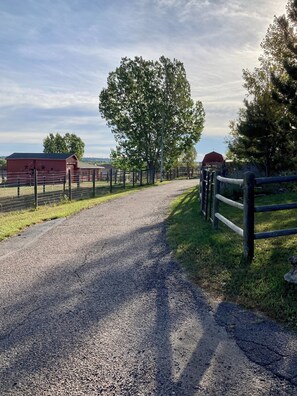 We have 2 driveways. Use the 2nd one that comes down towards the barns & garage.