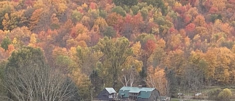 Stunning Fall foliage surrounding this unique Catskills getaway