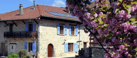 Vue d'ensemble et son cerisier en fleur