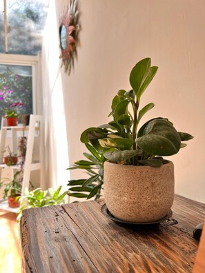 Detalj interiör