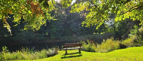 Overnatningsstedets område