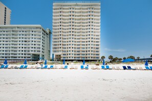 Grand View from the Beach