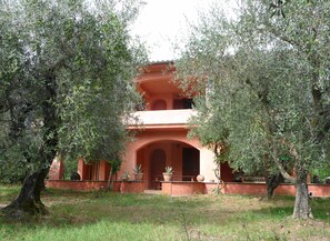 Ca. Anzolla : vom Olivenhain / from the olive grove