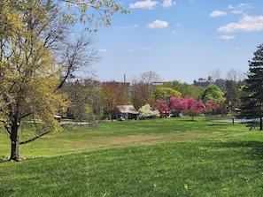 The lush and colorful Hunt Park is only a block away.