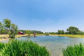 Pond