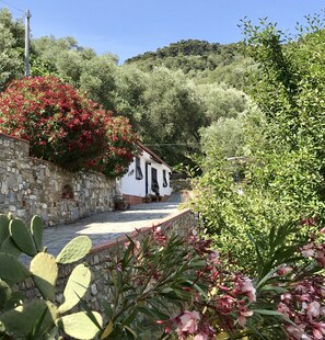 Εξωτερικός χώρος καταλύματος