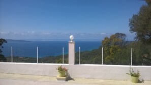 vue
