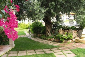 Garden [summer]