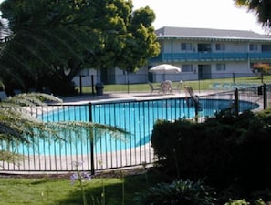 Outdoor swimming pool with poolside loungers