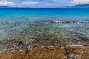 Great place to watch turtles and fish right off the property