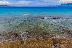 Great place to watch turtles and fish right off the property