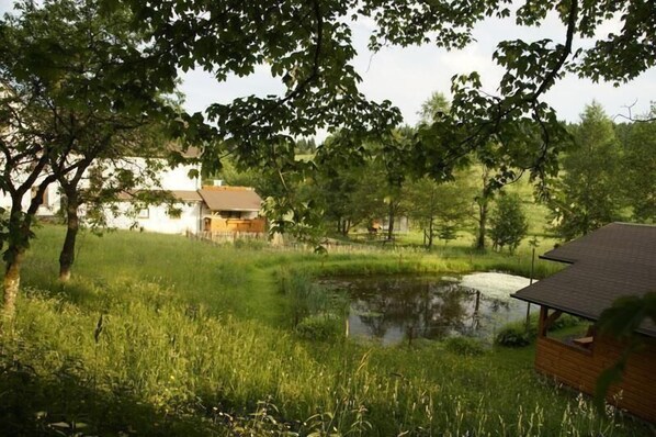 Blühende Bergwiese an der Ferienwohnung