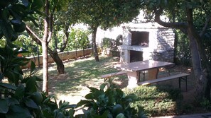 view from the app