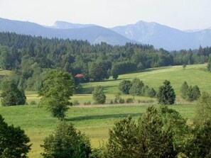 Terrain de l’hébergement 