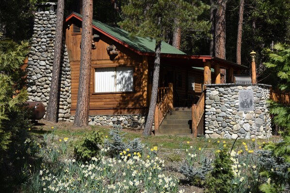 Tuolumne Meadow