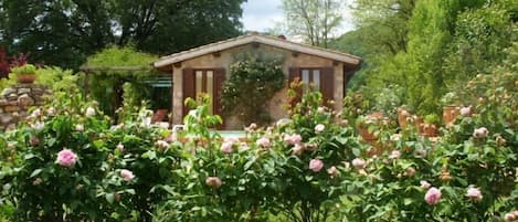 East side guest house with english roses