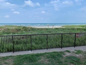 Oceanfront views from the patio!