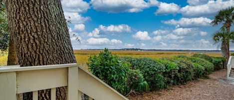 Wonderful marsh views from the back deck.
