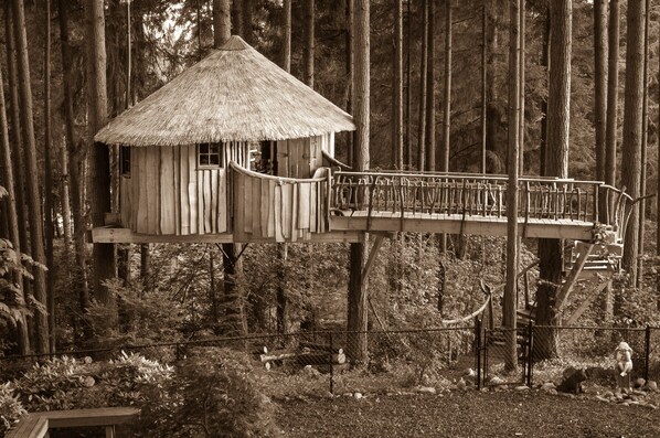 Boendeområde