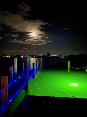 Lighted dock, underwater lighting for night time fishing 🎣.  Fun on the back!
