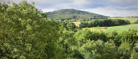 Blick auf Moritzberg
ca 2 km entfernt