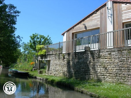 Nymphéa cÎté canaux