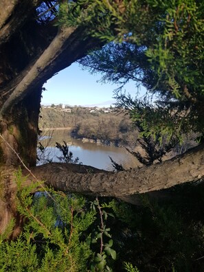 Boendeområde