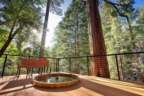 A lovely cedar tub overlooks a seasonal creek and  old growth forest.