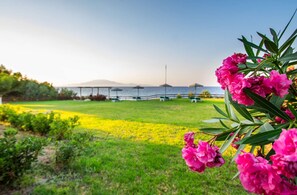 external view, garden , sea view