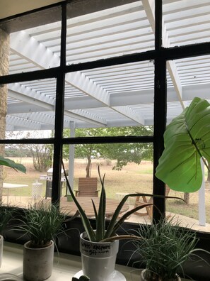 Terassi/patio