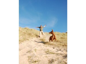 Animaux de compagnie acceptés