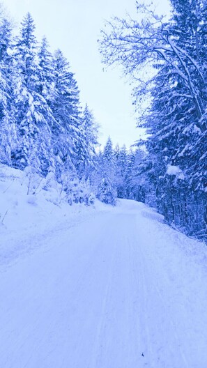 Snow and ski sports