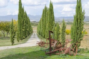 Terrenos do alojamento