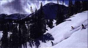 Sne- og skisport