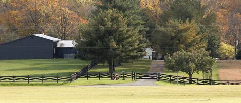 Donkeytown view from road