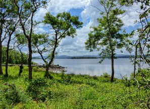 Inchagoill Island, Lough Corrib, Co Galway © Failte Ireland