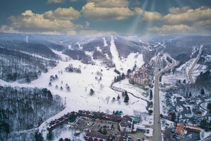 Snowpine Village | Holiday Valley Resort | | Ski-In/Out Property