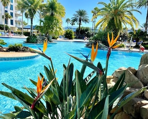 Beautifally Landscaped Pools!