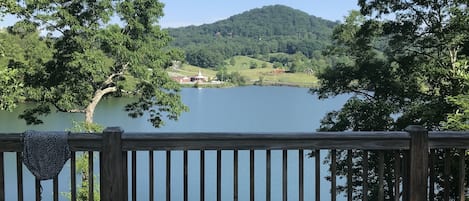 View from the deck. Taken in June 2020