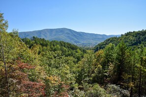 rental-cabin-02