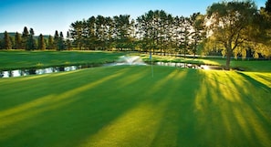 Golf